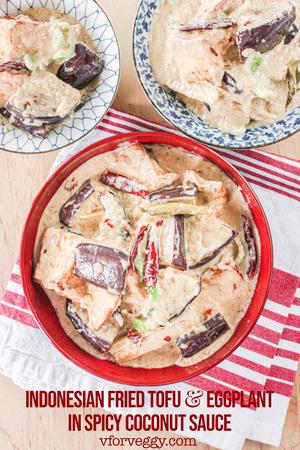 Indonesian Fried Tofu and Eggplant in Spicy Coconut Sauce