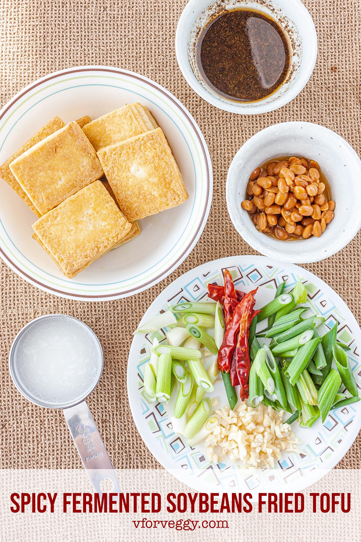 Spicy Fermented Soybeans Fried Tofu