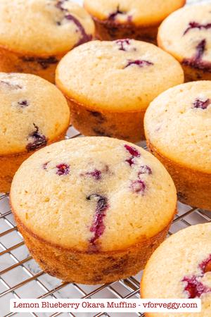 Lemon Blueberry Okara Muffins