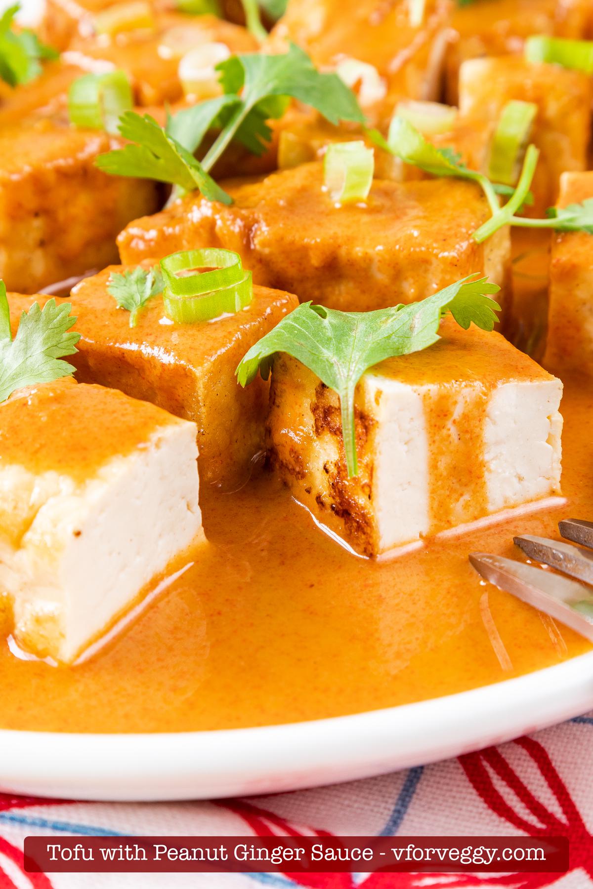 Tofu with Peanut Ginger Sauce.